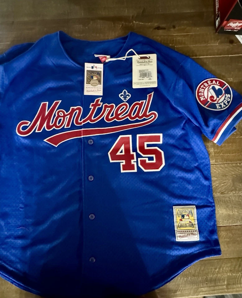 Pedro Martinez Jersey JSA Autographed Signed Montreal Expos JSA Certified - Image 2 of 4