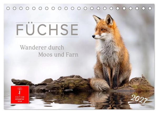 FüChse - Wanderer Durch Moos Und Farn (Tischkalender 2027 DIN A5 Quer),...-image