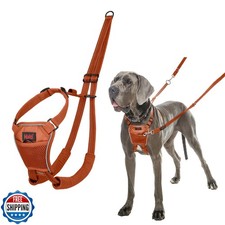 Halti No Pull Harness - Stop Your Dog Pulling on The Leash. Adjus
