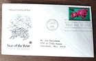 2019 CHINESE LUNAR NEW YEAR OF THE BOAR PCS CACHET FDC