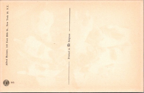 Short Haired Pointer Puppies Milk Bowl Alfred Mainzer Art Belgium postcard MQ8 - Picture 2 of 2