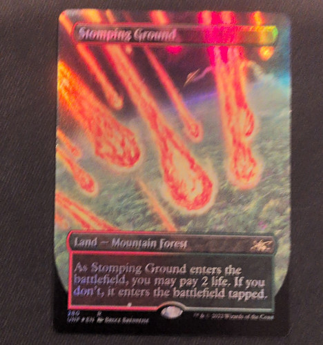 Wizards of the Coast Stomping Ground Unfinity Borderless Foil EN Rare 2022 #280