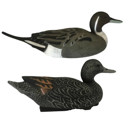 Ente Köder Pintail realistisch schwimmend HIGH DEFINITION HD Ganzkörper HOCHWERTIG