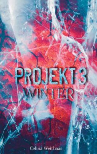 Thumbnail - Winter Projekt Iii 6632
