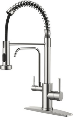 Brushed Nickel Kitchen Faucet with Water Filter