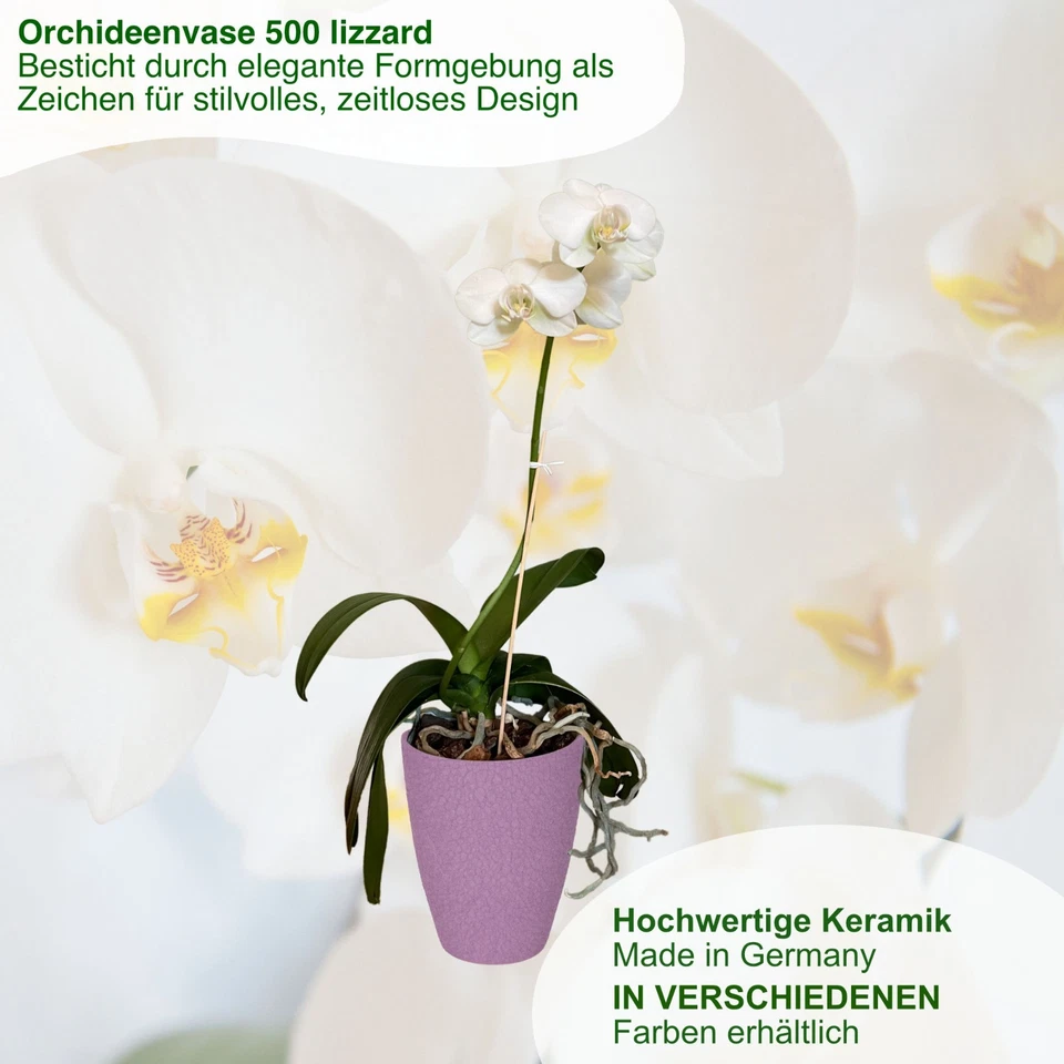 MePla - 2 Stück - Orchideenübertopf 500 lizzard + Pflanztopf - Bild 3 von 4