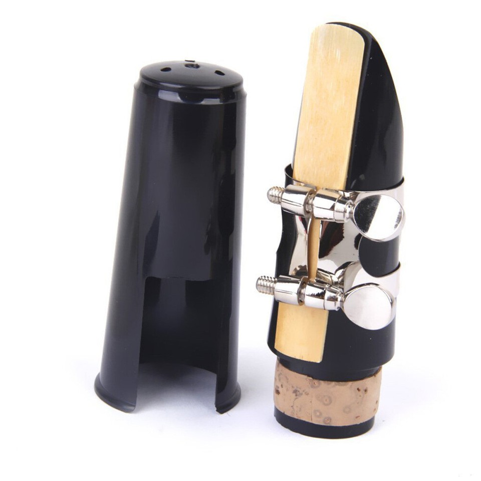 Cleaning Brush Reed Guard Saxophone Mouthpiece Ligature eBay