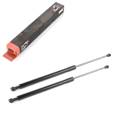 2 x Gas Spring Damper Tailgate Compatible with Clio III BR0/1