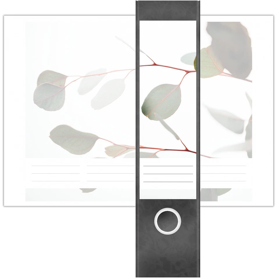 Ordnerrücken Aufkleber Set 4-teilig Panorama A4 selbstklebend Büro Eukalyptus - Bild 2 von 4