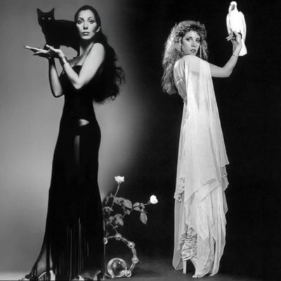 Cher sexy black cat Stevie nicks  High Quality Metal Fridge Magnet 4x4 1172
