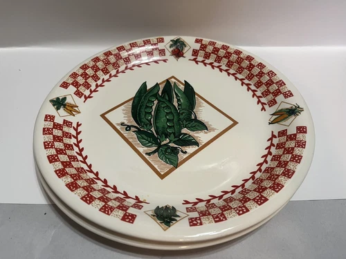 2 Tabletops Unlimited Garden Fresh Plates Checkerboard Border 331