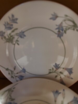 Corelle Salad plates Inches Total Of