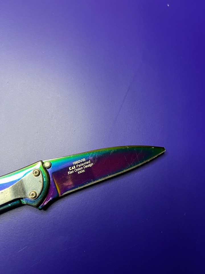 Kershaw USA Leek 1660VIB Rainbow Assisted Open Plain Edge Pocket Knife