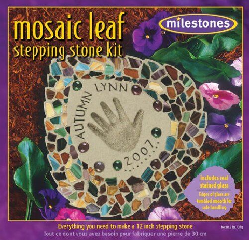 Mosaic Stepping Stone Kit-Garden