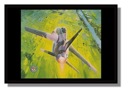 McDonnell Douglas F105F Wildes Wiesel Nord-Hanoi Bild Ferris kostenloser Versand UK