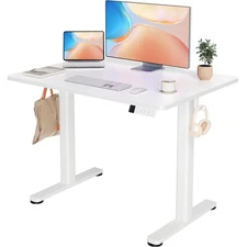 Electric Standing Desk Adjustable Height, 40 x 24 Inches Stand up Desk with C...