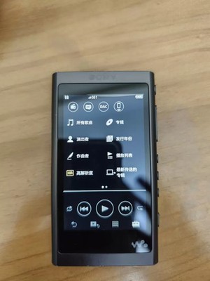 Sony NW-A55 Walkman Digital Music Player Audio MP3 16GB Bluetooth