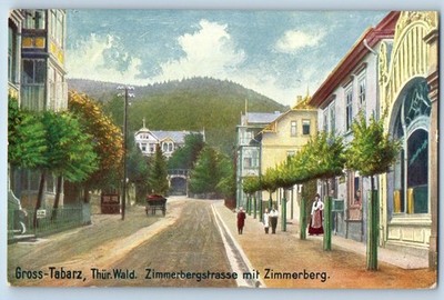 Bad Tabarz Germany Postcard Gross-Tabarz Thuringian Forest Zimmerberg c1950's