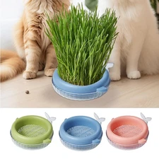 Hydroponic Cat Grass Soil-Free Planter Cat Grass Planting Box Plant Growing 