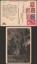 Indochina 1949 - Postcard to Belgium J66