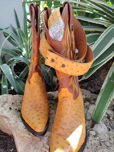 Montenegro Full Quill Ostrich Skin Size 25 1/2 / Size 34 Top Grain Leather Belt - Picture 3 of 12