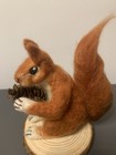 Picture 5 of 7