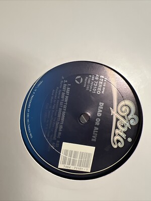 Dead Or Alive Baby Don't Say Goodbye 12