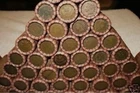 Indian Head and Wheat Back Penny Rolls Lot