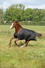 Bucas 155 Black/Gold Outdoordecke 50g Irish Turnout Light Weidedecke