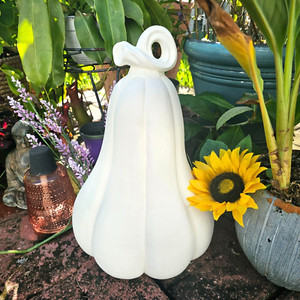 Giant Gourd | eBay