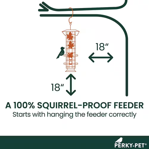 Squirrel-Be-Gone Squirrel Proof Bird Feeder - 2 Lb. Capacity - Picture 5 of 12