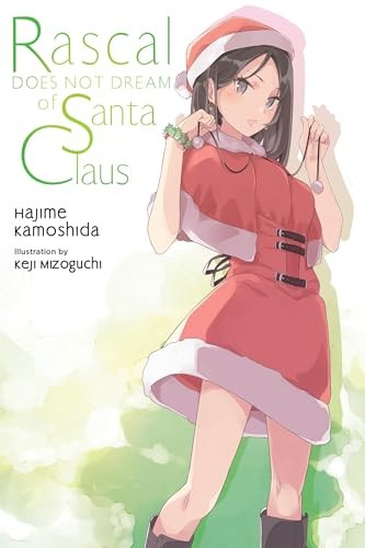 Rascal Does Not Dream of Santa Claus (light novel) by Andrew Cunningham - Image 5