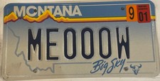 Cat Vanity Meow License Plate Kitten Crying Sound Siamese Ragdoll Persian Coon