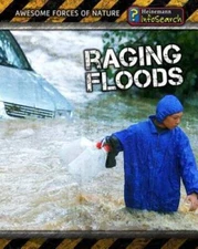 Raging Floods (Awesome Forces of Nature) - Paperback By Spilsbury, Louise - NEW