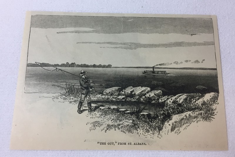 1887 magazine engraving ~ THE GUT From St Albans, Vermont