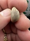 Foto 1 di 6