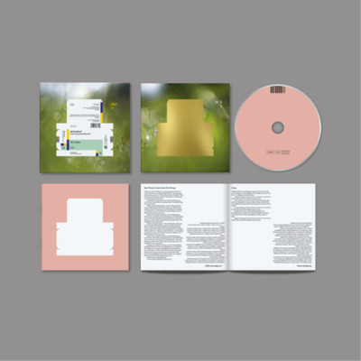 Spiritualized Everything Was Beautiful (CD) Album