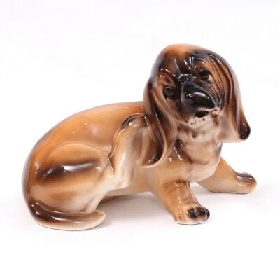 gumtree basset hound