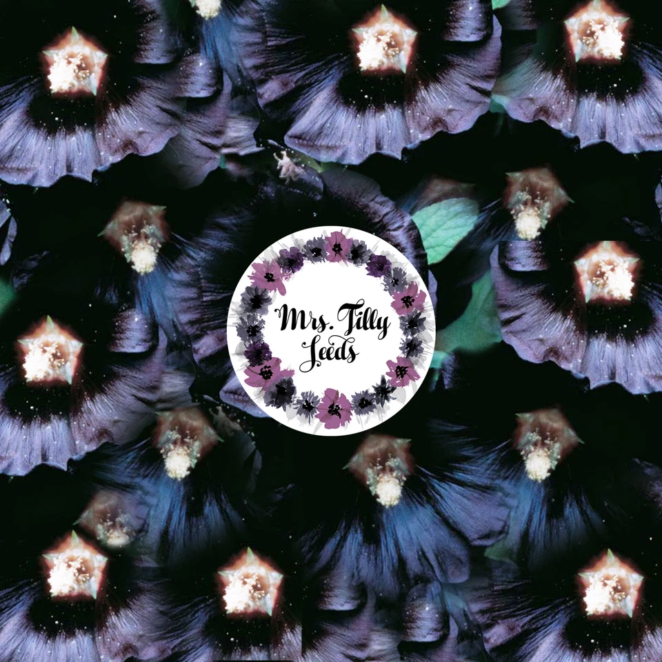 MALVE Bauernrose Stockrose Schwarze Blüten Rarität 30 Samen mehrjährig Bienen