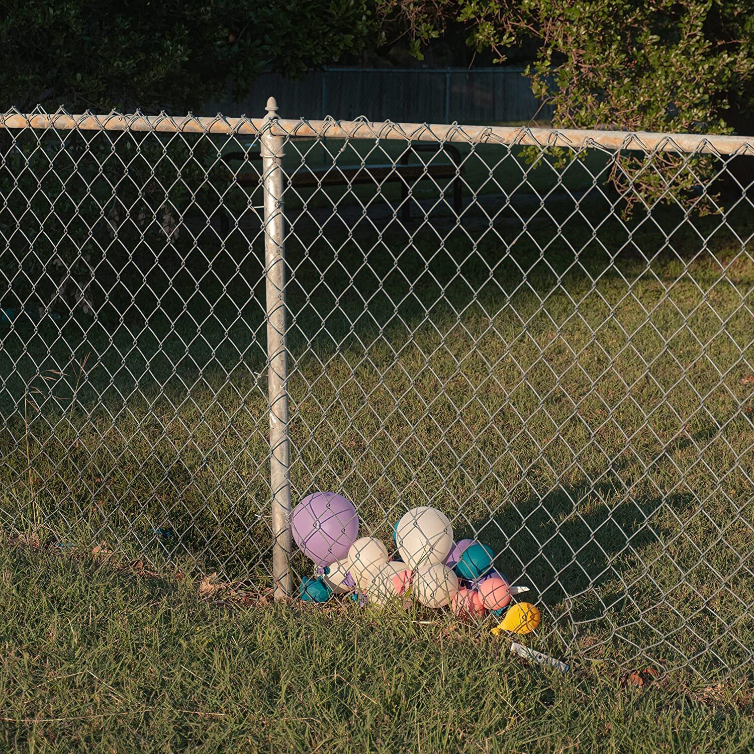 Good Looks Bummer Year (Vinyl LP) 12" Album Coloured Vinyl (Limited Edition)