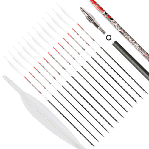 32in Archery Pure Carbon Arrows Feathers Sp300-800 Recurve Compound Bow Target - Picture 8 of 24