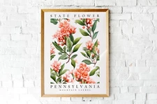 Mountain Laurel, Pennsylvania State Flower, Poster Print, Wall Décor