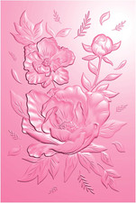3D Embossing Folder for Card Making,Flower Clear Plastic Texture Fades Embossing