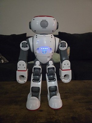 S*i様 1762913865-919123_p_4_1.webp ジ ホワイト・ブラック 約48cm ロボット Dobi Tech WL ホビーラジコン