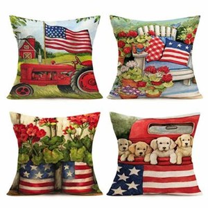 flag pillow covers