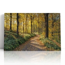 A Walk Through Harvest Light Canvas Print Wall Art Autumn Forest Path Home Decor