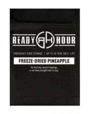 Freeze-Dried Cornbread Mix 12 serving Pouch 25-Year Shelf-Life Emergency Food