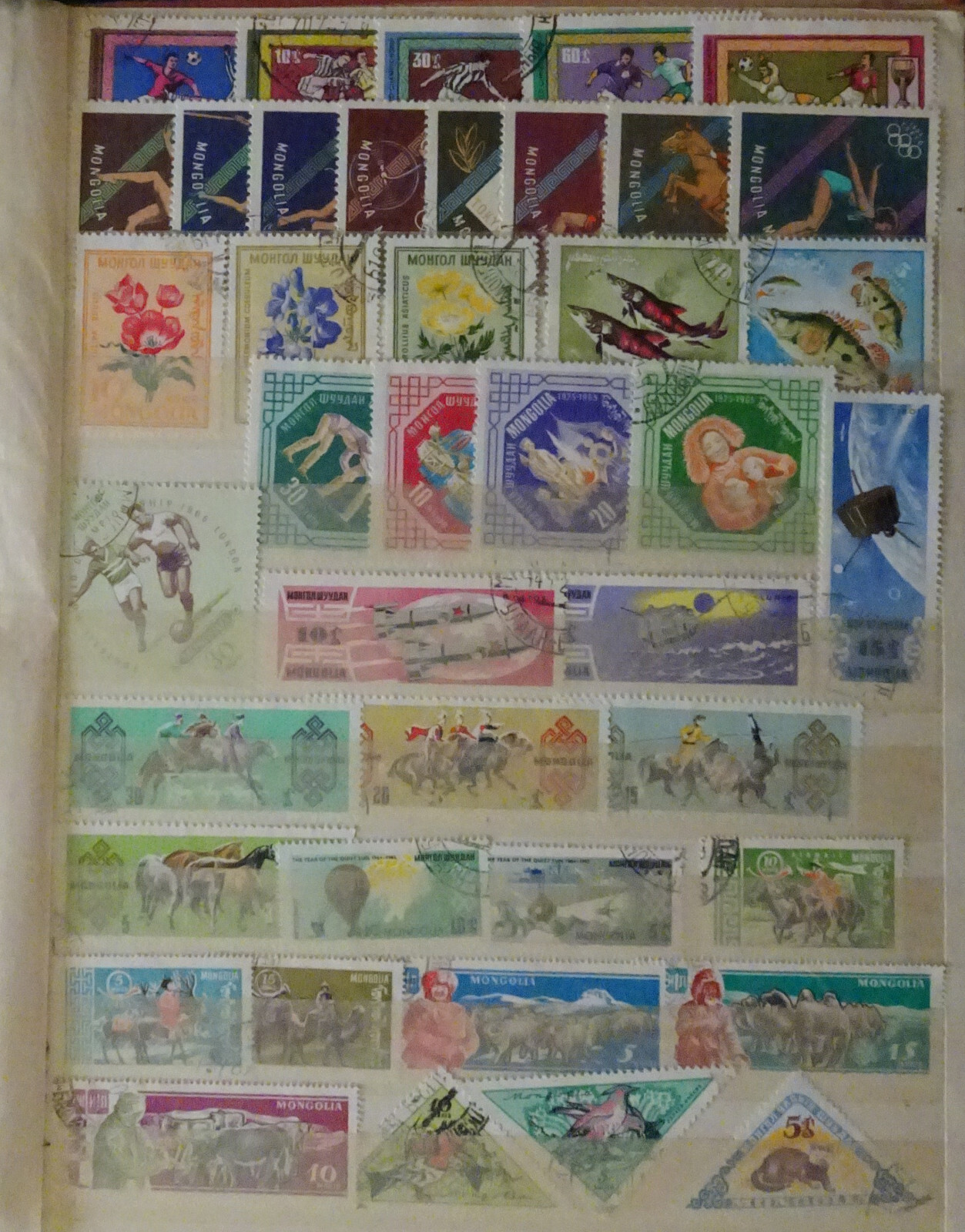 Foto 4 di 16