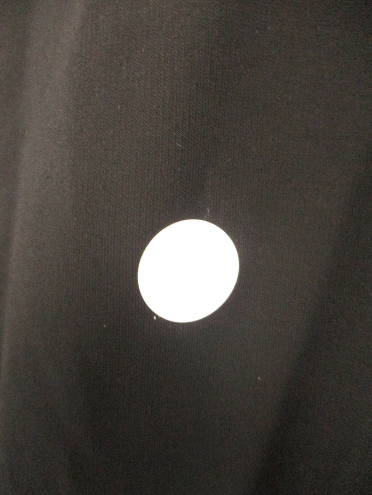 Talbots Medium Pull On Pants - Flawed - image 10