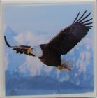 Bild 5 von 7